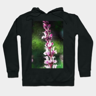 Pink Flowers Watercolour 2 Hoodie